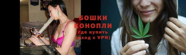 тгк Богородицк