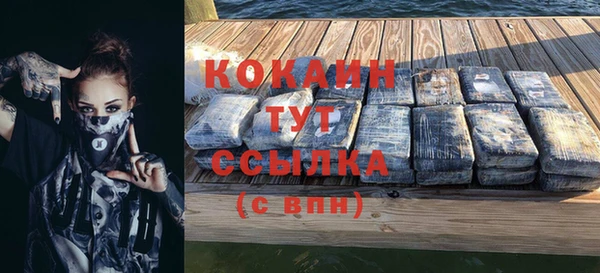 твердый Богородск