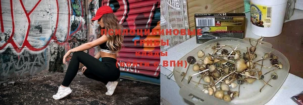 тгк Богородицк