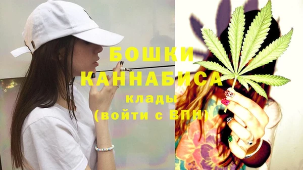 тгк Богородицк