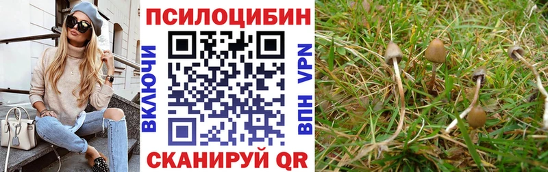 купить закладку  Эртиль  OMG как войти  Галлюциногенные грибы прущие грибы 